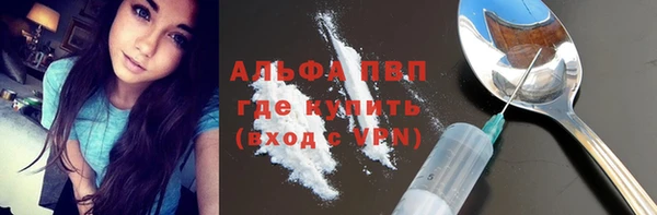 гашиш Богданович