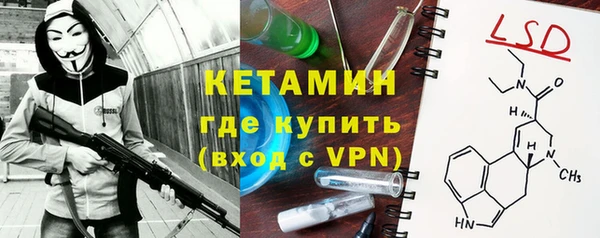 гашиш Богданович