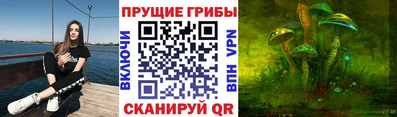закладки  Михайлов  дарк нет наркотические препараты  Галлюциногенные грибы Psilocybe 